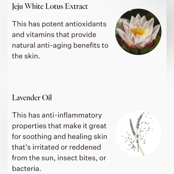 The Pure Lotus - Lotus Leaf Sleeping Pack Face Mask - NIB - Picture 4 of 8